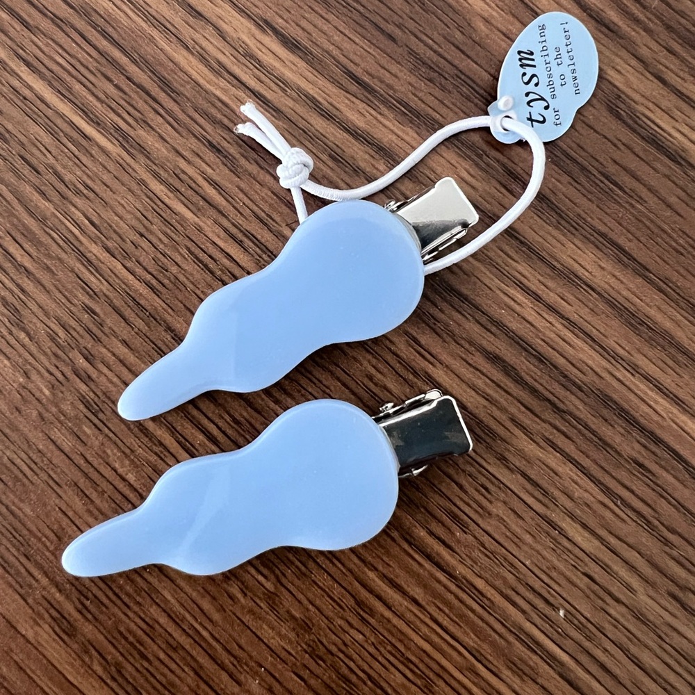 CHUNKS - Set of 2 hair clips - NEW